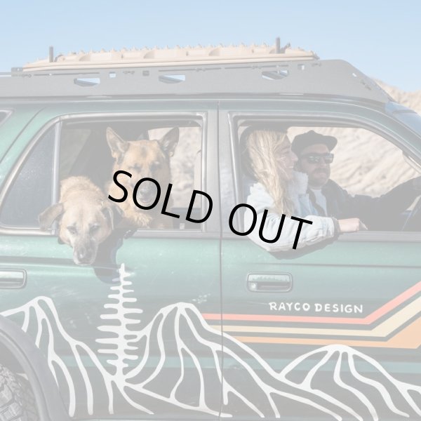 画像13: 【首輪】WOLF GANG /Wild Wolf COLLAR (13)