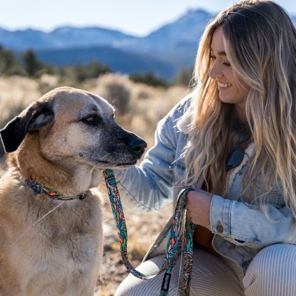 画像20: 【首輪】WOLF GANG /Wild Wolf COLLAR (20)