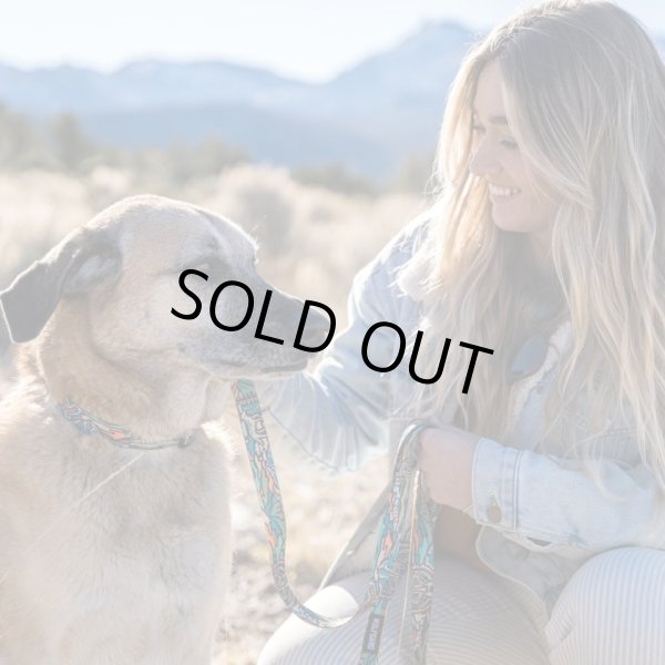 画像20: 【首輪】WOLF GANG /Wild Wolf COLLAR (20)