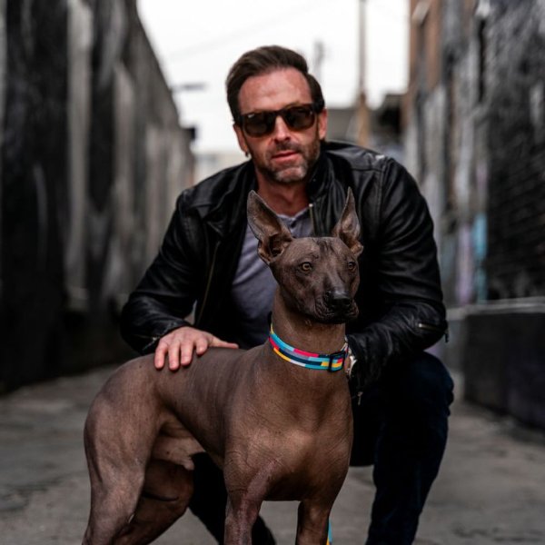 画像15: 【リード】WOLF GANG /Mix Tape LEASH (15)