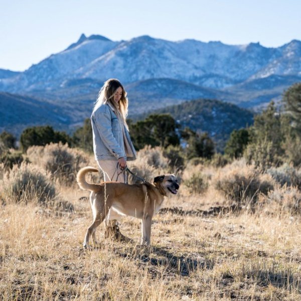 画像25: 【首輪】WOLF GANG /Wild Wolf COLLAR (25)