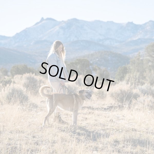 画像25: 【首輪】WOLF GANG /Wild Wolf COLLAR (25)