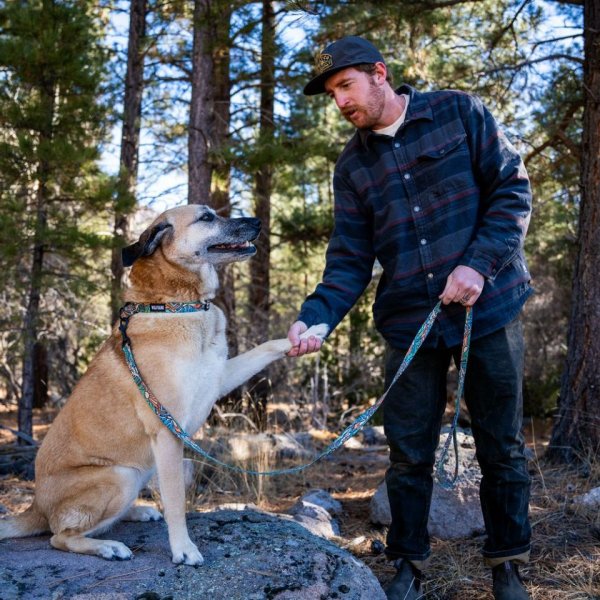 画像14: 【首輪】WOLF GANG /Wild Wolf COLLAR (14)