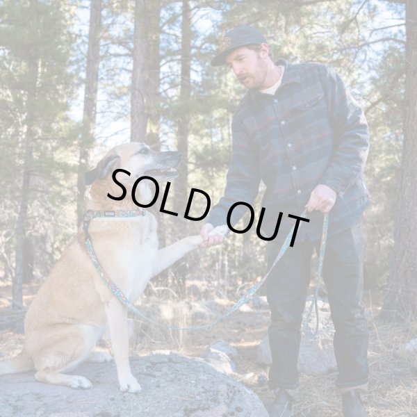 画像14: 【首輪】WOLF GANG /Wild Wolf COLLAR (14)