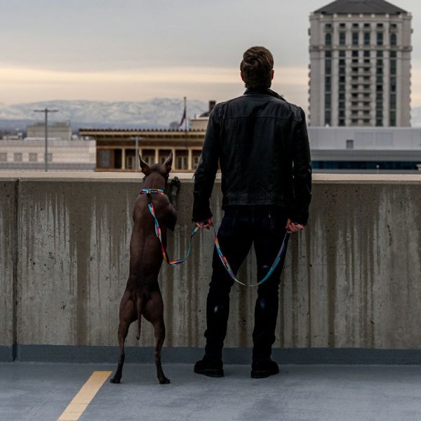 画像32: 【リード】WOLF GANG /Mix Tape LEASH (32)