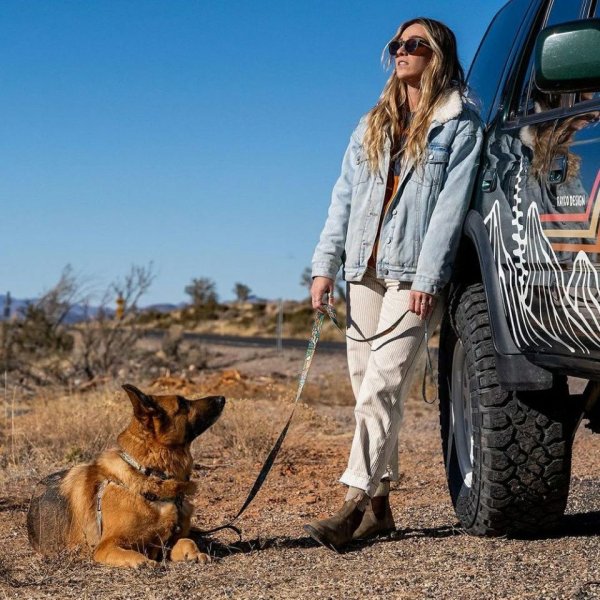 画像30: 【首輪】WOLF GANG /Wild Wolf COLLAR (30)