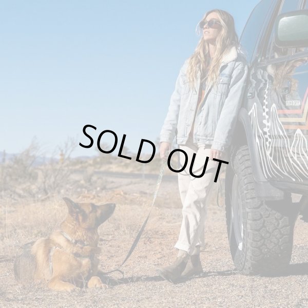 画像30: 【首輪】WOLF GANG /Wild Wolf COLLAR (30)