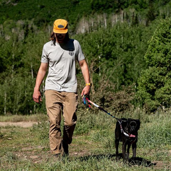 画像5: 【リード】WOLF GANG /Bone Yard LEASH (5)