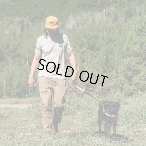 画像14: 【首輪】WOLF GANG /Bone Yard COLLAR (14)