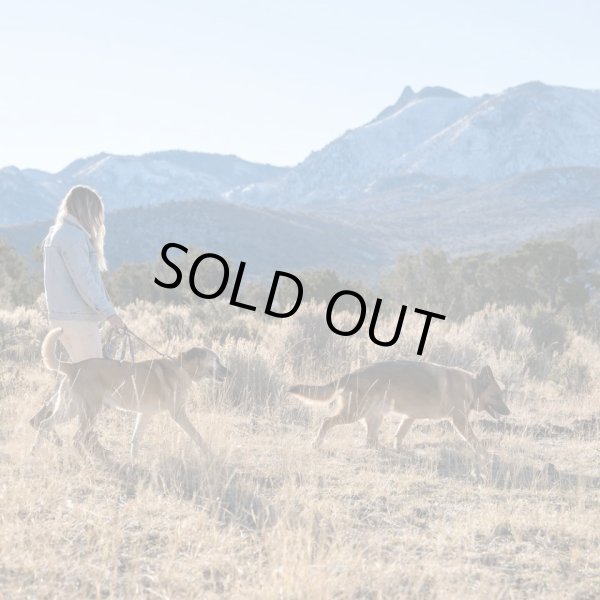 画像26: 【首輪】WOLF GANG /Wild Wolf COLLAR (26)