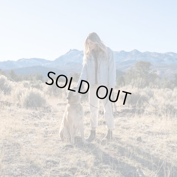 画像23: 【首輪】WOLF GANG /Wild Wolf COLLAR (23)