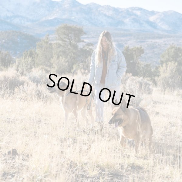 画像27: 【首輪】WOLF GANG /Wild Wolf COLLAR (27)