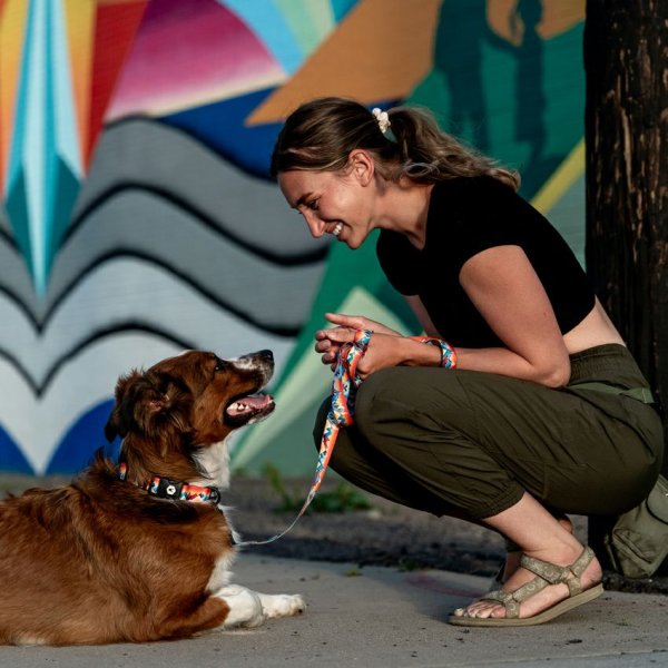 画像5: 【首輪】WOLF GANG /Mountain Vibes COLLAR (5)