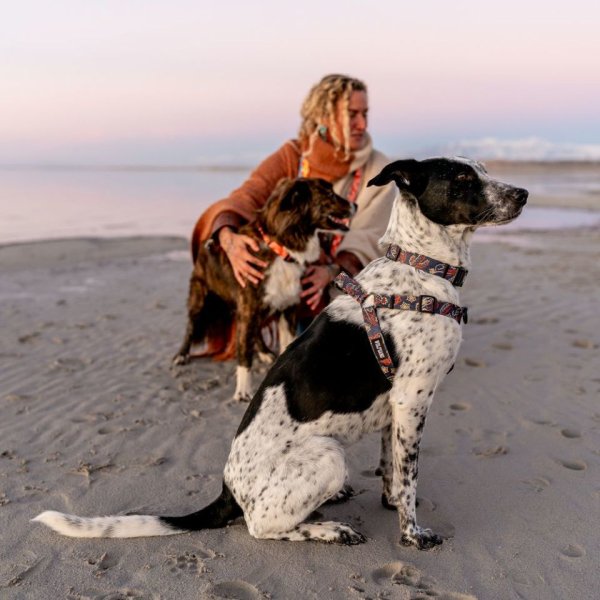 画像9: 【リード】WOLF GANG /Sand Flats LEASH (9)