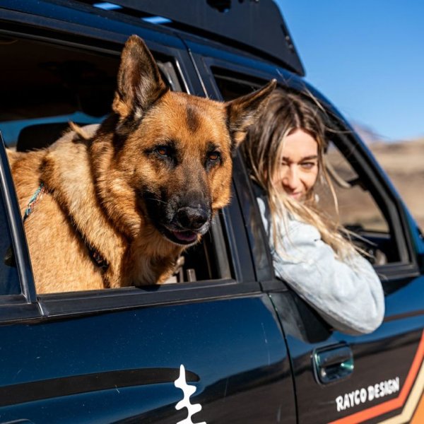 画像12: 【首輪】WOLF GANG /Wild Wolf COLLAR (12)