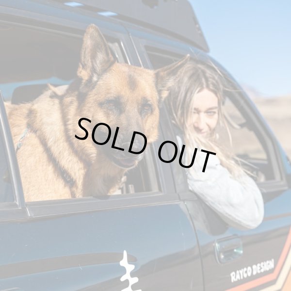 画像12: 【首輪】WOLF GANG /Wild Wolf COLLAR (12)