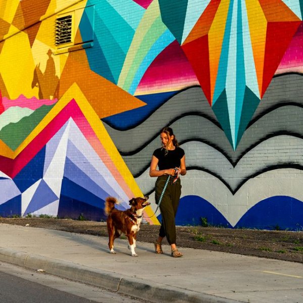 画像9: 【首輪】WOLF GANG /Mountain Vibes COLLAR (9)