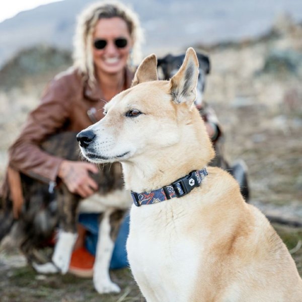 画像10: 【リード】WOLF GANG /Sand Flats LEASH (10)