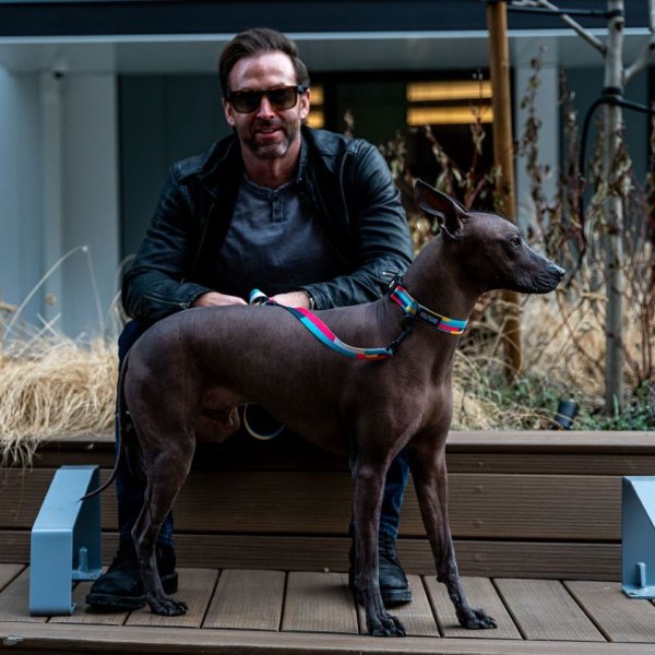 画像27: 【リード】WOLF GANG /Mix Tape LEASH (27)