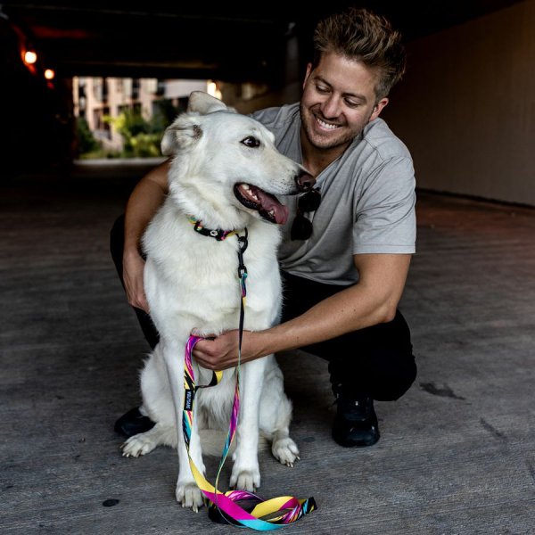 画像13: 【リード】WOLF GANG /Fuzzy Tails LEASH (13)