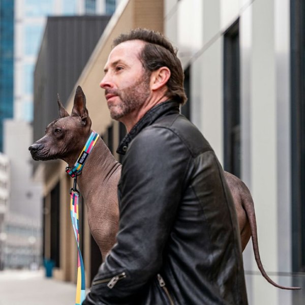 画像24: 【リード】WOLF GANG /Mix Tape LEASH (24)