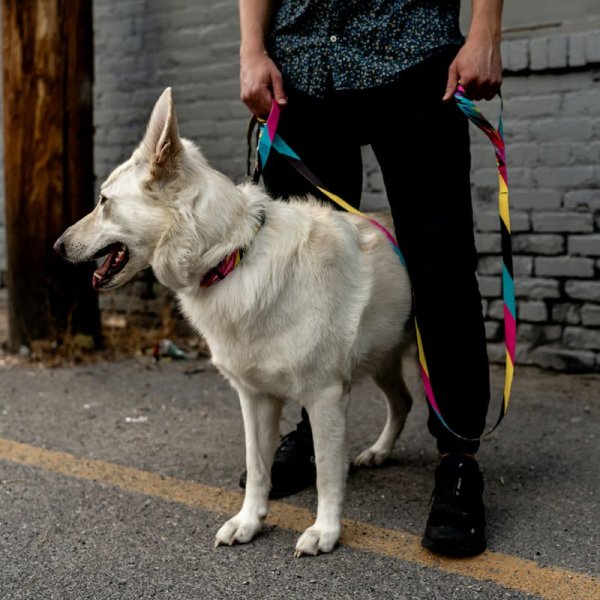 画像29: 【リード】WOLF GANG /Fuzzy Tails LEASH (29)