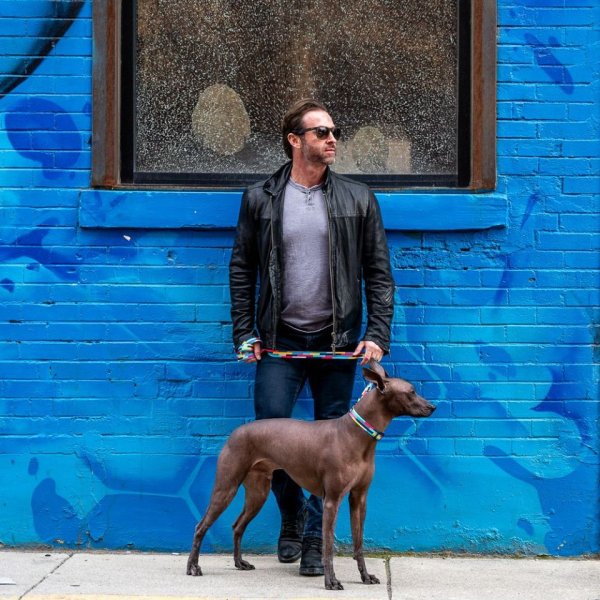 画像19: 【リード】WOLF GANG /Mix Tape LEASH (19)