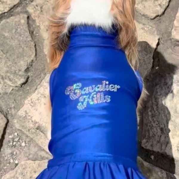 画像5:  Ｍサイズ・カラー限定 【残り1着】Cavasuits チアワンピ (5)