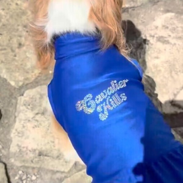 画像7:  Ｍサイズ・カラー限定 【残り1着】Cavasuits チアワンピ (7)