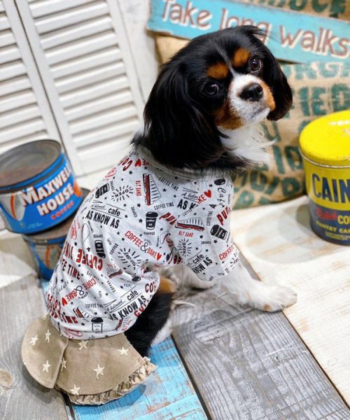 画像5: 【as know as de wan】ＮＣ☆がいっぱいSK (5)