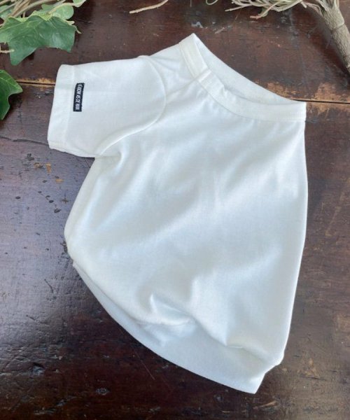 画像5: 【as know as de wan】ＮシンプリーＴ (5)