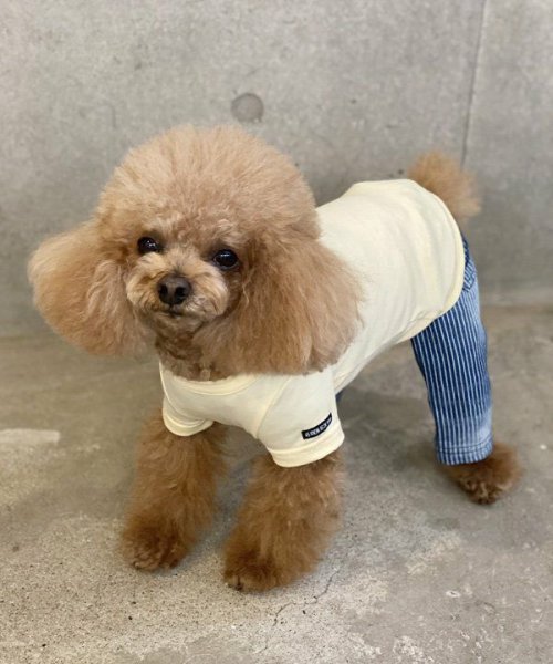 画像6: 【as know as de wan】ＮシンプリーＴ (6)