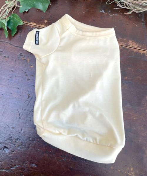 画像7: 【as know as de wan】ＮシンプリーＴ (7)