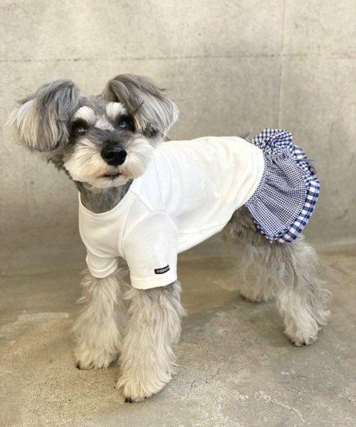 画像4: 【as know as de wan】ＮシンプリーＴ (4)