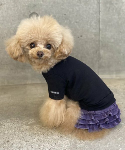 画像2: 【as know as de wan】ＮシンプリーＴ (2)