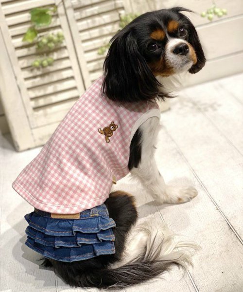 画像4: 【as know as de wan】Ｃ☆ギンガムＴＫ (4)