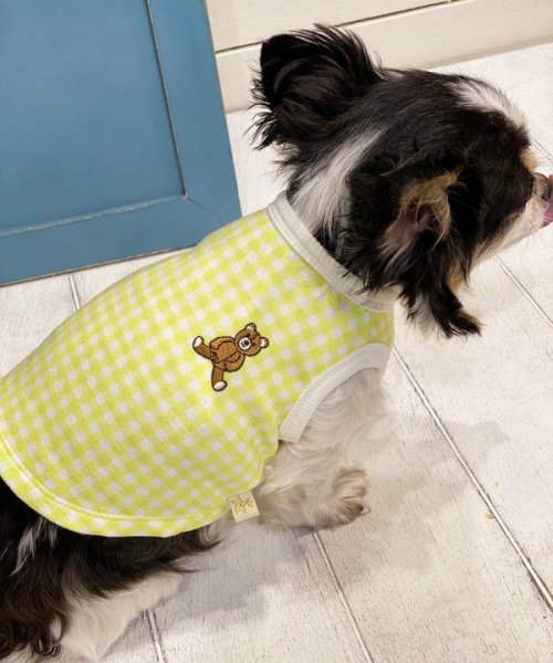 画像8: 【as know as de wan】Ｃ☆ギンガムＴＫ (8)