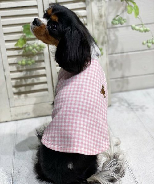 画像5: 【as know as de wan】Ｃ☆ギンガムＴＫ (5)