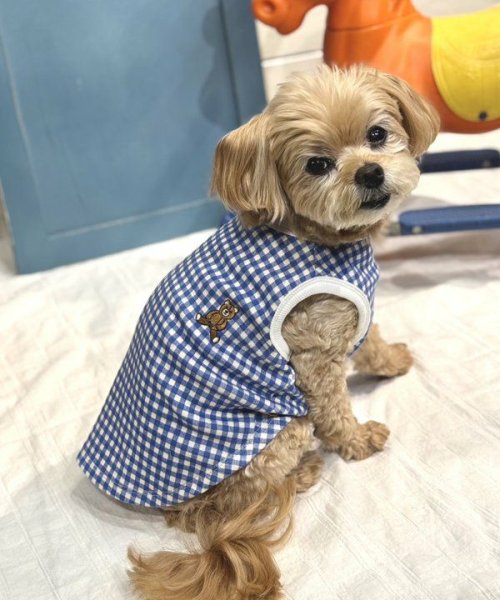 画像11: 【as know as de wan】Ｃ☆ギンガムＴＫ (11)