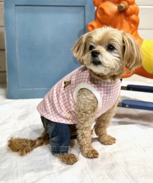 画像2: 【as know as de wan】Ｃ☆ギンガムＴＫ (2)