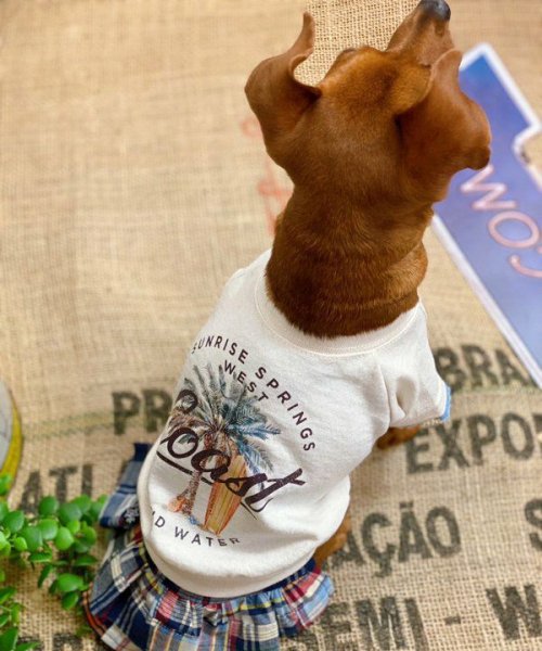 画像9: 【as know as de wan】Ｎ☆ＣパームシャツッＴ (9)