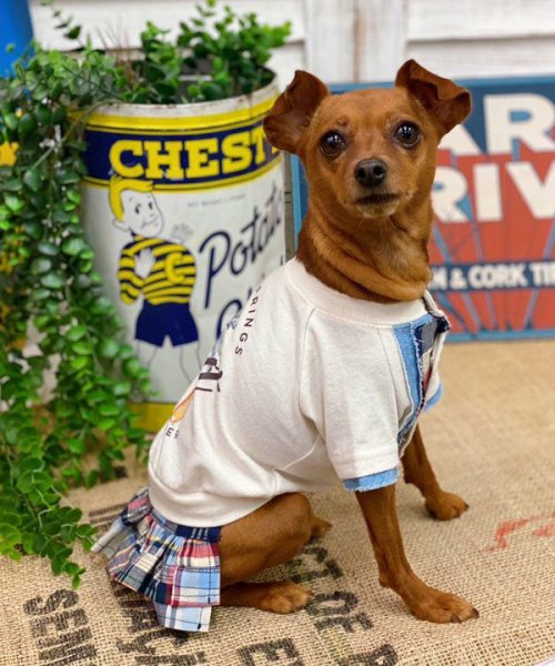 画像6: 【as know as de wan】ＮパッチワークＳＫ (6)