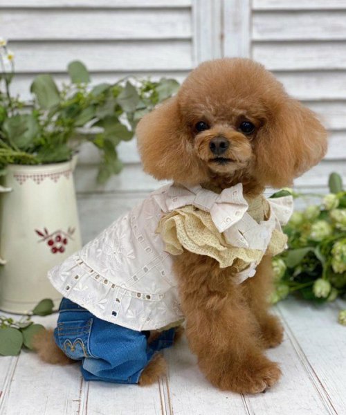 画像5: 【as know as de wan】ＮＣハートｄｅ刺繍ＰＴ (5)