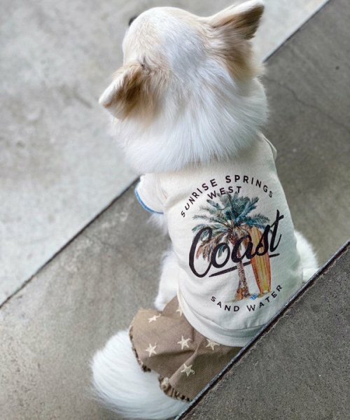 画像4: 【as know as de wan】Ｎ☆ＣパームシャツッＴ (4)