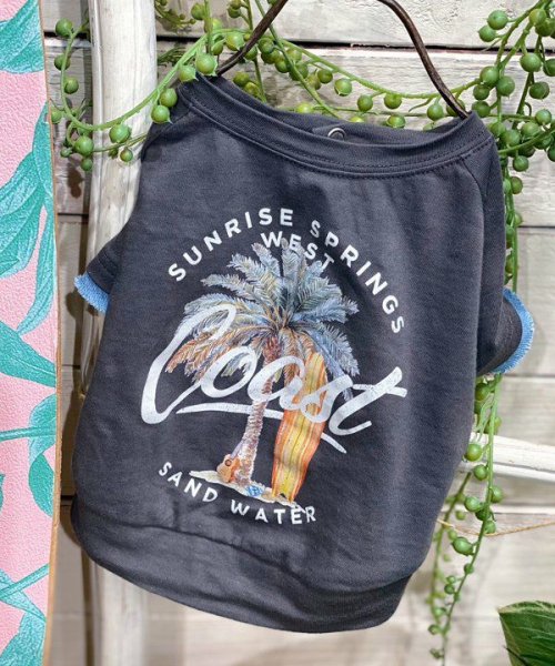 画像21: 【as know as de wan】Ｎ☆ＣパームシャツッＴ (21)