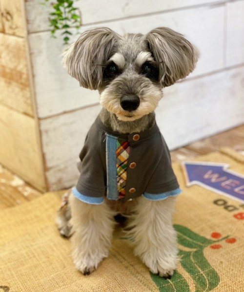 画像16: 【as know as de wan】Ｎ☆ＣパームシャツッＴ (16)