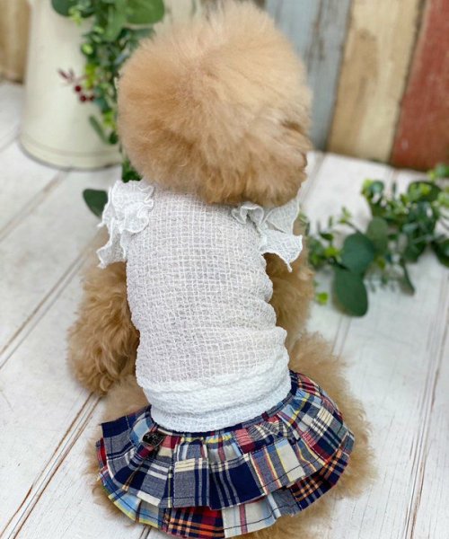 画像3: 【as know as de wan】ＮパッチワークＳＫ (3)