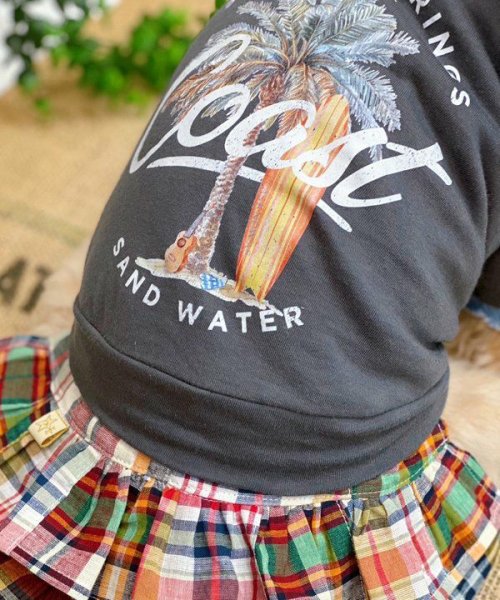 画像18: 【as know as de wan】Ｎ☆ＣパームシャツッＴ (18)