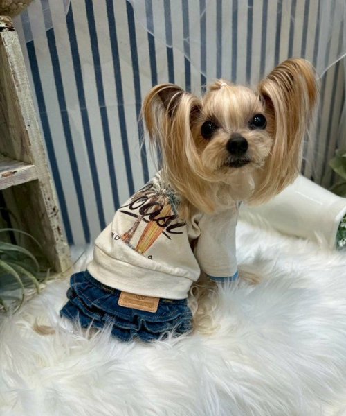 画像3: 【as know as de wan】Ｎ☆ＣパームシャツッＴ (3)