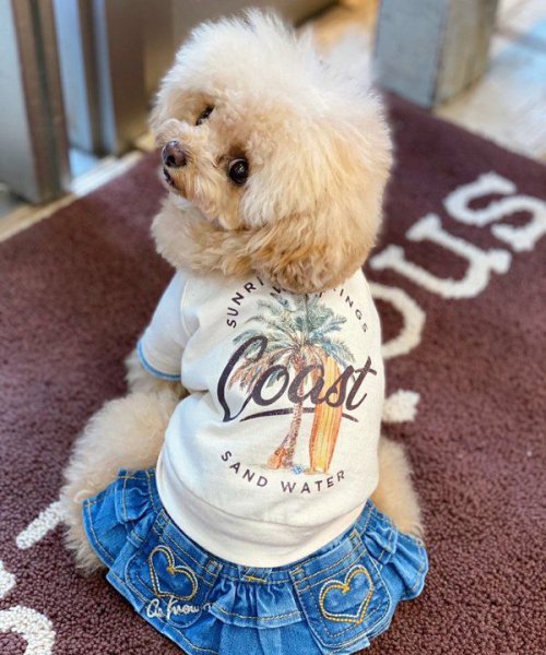 画像11: 【as know as de wan】Ｎ☆ＣパームシャツッＴ (11)